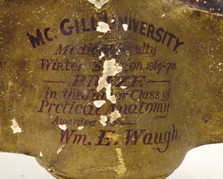 Inscription on the back of the anatomical head, to Dr. Waugh as a student.